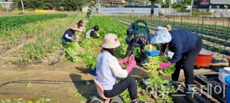 (사)한국전통문화뿌리연구소, 계절 열무김치 나눔 기부행사진행