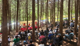 고흥 팔영산 편백 치유의 숲···숲속의 작은 음악회 성료