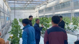 나주시, 멜론 방울토마토 스마트팜 재배 노하우 전수