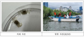 부산시 수산자원연구소, 어린 동남참게 20만 마리 방류