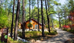 전남도, 광양 백운산자연휴양림 등 추천 관광지 4곳 선정