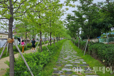 명품길 110km 완보 도전…원주사랑 걷기 대행진