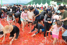 한여름 가족 축제…횡성 둔내고랭지토마토축제 9일 개막