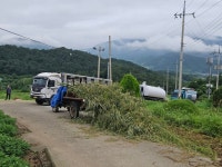 고흥서 양돈장 통행 막은 귀농인 검찰 송치···교통방해 혐의