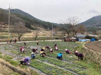 곡성군 죽곡면 삼태마을, 마을 공동체 사업 최우수상 수상