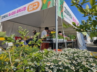 고양국제꽃박람회, 14~15일 2024 새벽시장 호수장터 정상 운영