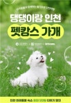 인천 X 여기어때 반려동물 동반 숙박상품 기획전 개최