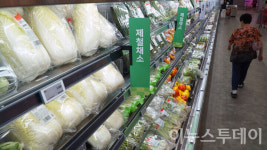 [포토] 배춧값 실화냐…다가오는 김장이 무서워