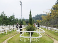 함안군, 아라가야문화제 무료 승마체험