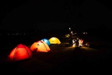 제25회 순천만 갈대축제 성료···2일간 2만4000명 방문