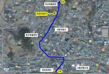 고흥군, 천경자예술길 명예도로명 부여