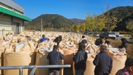 봉화군, 2024년산 공공비축미곡 2천758톤 매입 시작