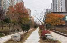 광산구, 도심 속 녹도 환경 조성