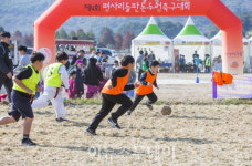 하동 평사리들판 논두렁축구대회, 새로운 문화의 가능성 열어