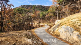 산청군, 경남도 임도사업 평가 최우수