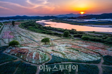 함안 악양둑방 꽃 관광지 명소 부상