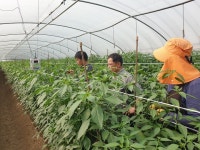 광주농업기술센터, 농업경영체 기술보급 추진