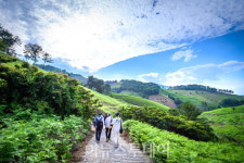 보물섬 매력 느낄 수 있는 남해바래길, 탐방객 꾸준히 증가