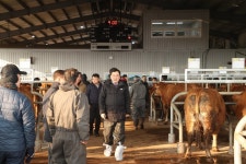 경주시장, 불국동 경주가축시장 방문해 한우 거래 현장 점검