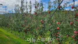 거창군, 스마트 과수원 특화단지 조성 공모 선정