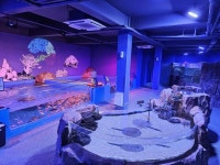 전라남도해양수산과학원, 25~29일 설 연휴 정상개관