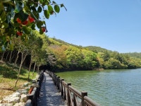 완도수목원 설 연휴 무료 개방