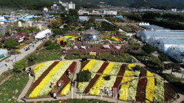 거제섬꽃축제, 2025년 경상남도 지역특화축제 선정