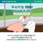 파주시, 소·염소 구제역 백신 일제접종 3월 14일로 앞당겨