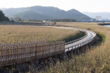 보성 벌교 갯벌탐방로, 사계절 생태 여행···특별한 경험 선사