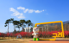 구례 섬진강 수달생태공원, 홍매화 절정···봄의 향연