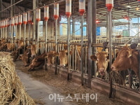 합천군, 축산농가 사료구매 정책자금 72억원 배정