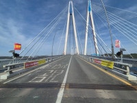 진도군, 신비의바닷길 축제···구제역 차단 총력