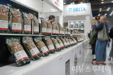 [포토] 생두, 취향 따라 고르세요