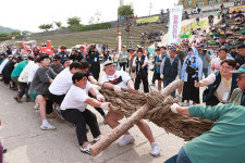 영월 단종문화제 칡줄다리기 안전기원제 9일 봉행