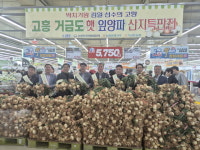 고흥 거금도 햇양파, 서울 소비자 입맛 잡아