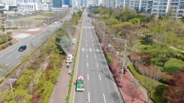 연수구, 송도동 내 수목 관리 합동 방제작업