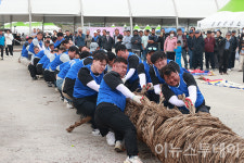 영월 단종문화제 칡 줄다리기