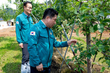 김창규 제천시장, 우박 및 과수화상병 피해 현장 방문