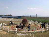 함안군승마공원, 자유학기제 승마체험 프로그램 운영