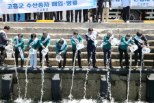 고흥군, 감성돔 종자 10만 9000 마리 방류