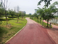 파주시, 운정호수공원 녹지정비공사 완료