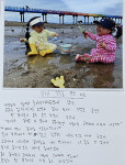 영월 동강국제사진제 초등학생 사진일기 대상 꽃게 멸종을 막은 하루