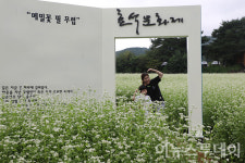 평창은 메밀꽃 필 무렵