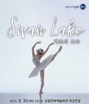 무안군, 해설이 있는 힐링발레 백조의 호수  공연