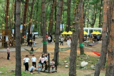 [포토] 가을 소나무숲에서 즐기는 힐링