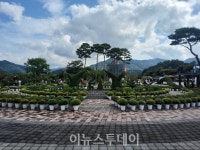 국화향기 가득한 거창창포원서 정원산책 어때요?