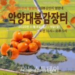 하동 악양면, 주민들 직접 참여 대봉감 직거래장터 연다