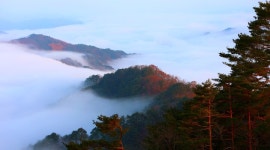 [포토] 인제 박달고치 운해 한 폭의 그림