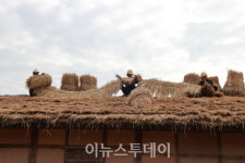 [포토]의령 조씨 고가에 초가지붕 이엉 잇기 작업 한창