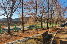 영월군, 스포츠파크 맨발 걷기 길 조성 완료